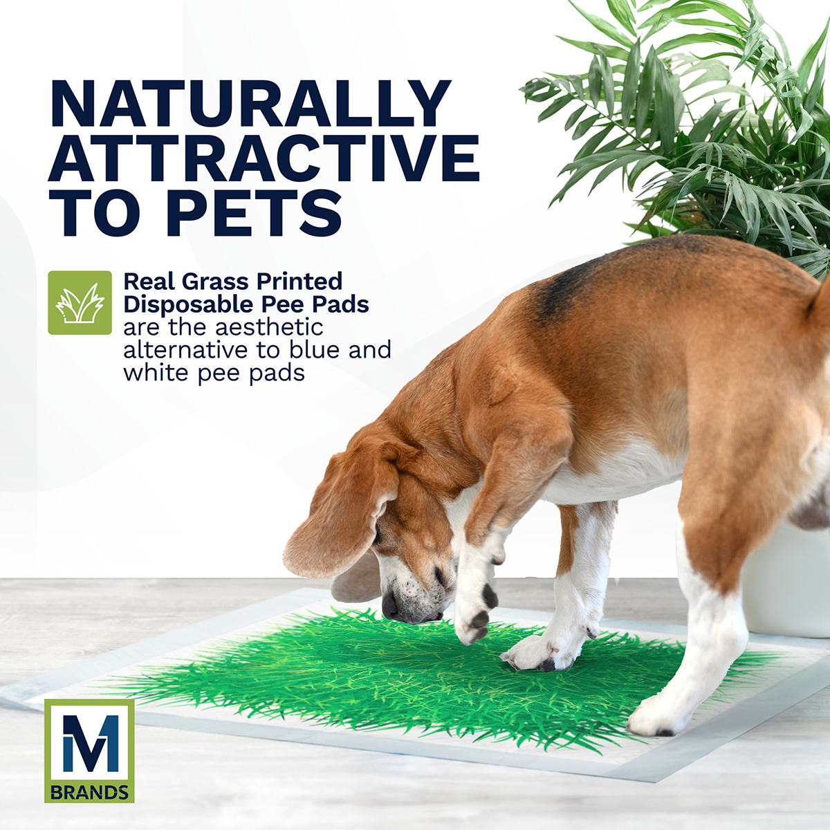 Big Dawgs - M Brands - Grass Pee Pads - Block